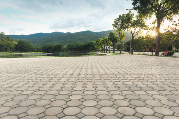 Best Paver Driveway Replacement  in Madison, WV